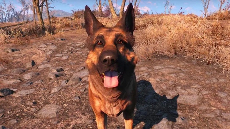 Dogmeat, River, Fallout 4