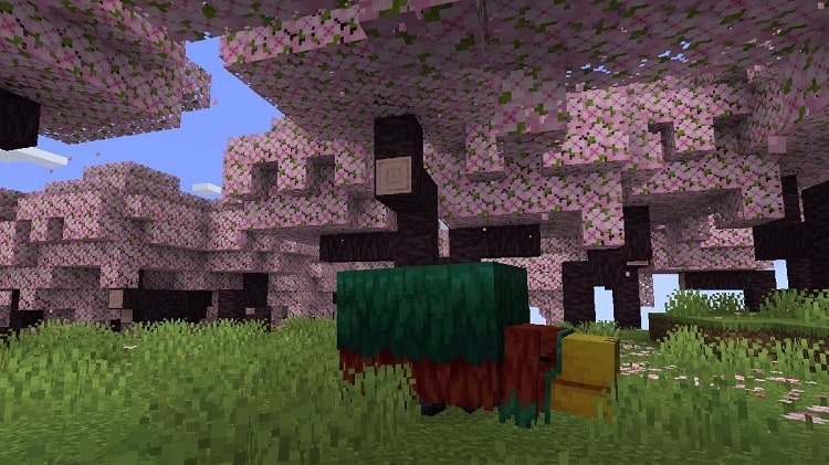 Minecraft, kiraz çiçeği, sniffer