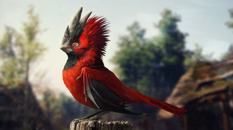 CD Projekt Red