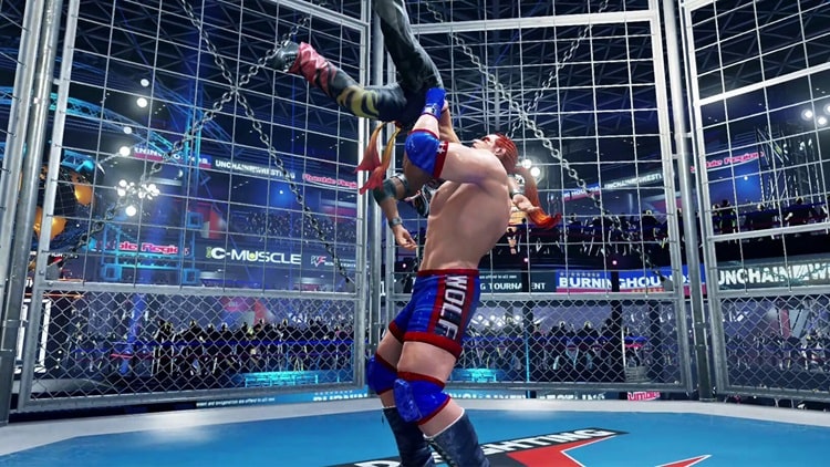 Virtua Fighter 5, R.E.V.O., dövüş oyunu, kafes dövüşü